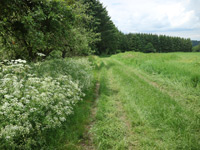 Arten-Reich