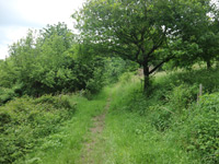 Arten-Reich