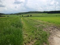 Arten-Reich