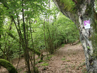 Arten-Reich