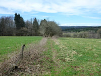 Bergmähwiesenpfad