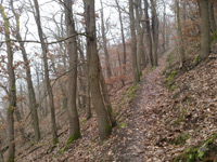 Bergschluchtenpfad Ehrenburg