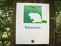 Markierung Biberpfad