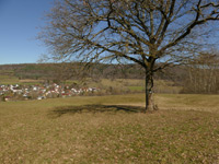 Bieberer Galgenberg