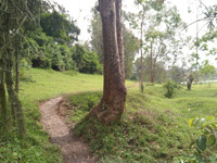 Big View Trail
