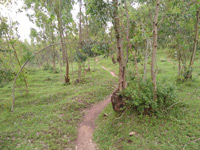 Big View Trail