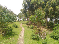 Big View Trail
