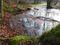 Brunnen- und Quellenweg