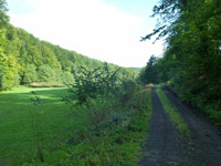 Wäller Tour Buchfinkenland