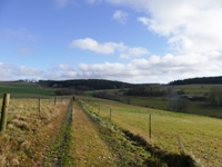 Butzel Kewes Weg