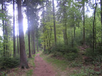 Der Hochwälder