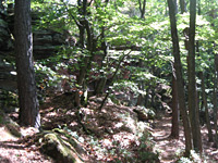 Dimbacher Buntsandstein Höhenweg