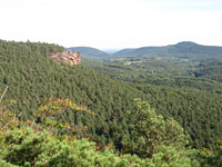 Dimbacher Buntsandstein Höhenweg