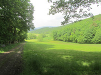 Waldkappeler Berge P17