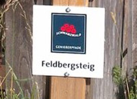 Markierung Feldbergsteig