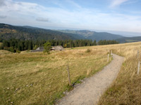 Feldbergsteig