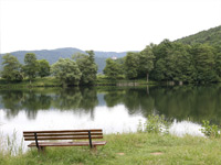 Söder Wald P7