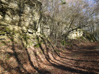 Felsenweg 4