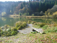 Felsquellweg Oberdigisheim