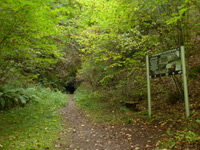 Fischbacher Kupferspuren