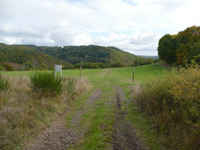 Fischbacher Kupferspuren