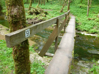 Genießerpfad Gauchachschlucht