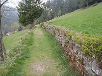 Genießerpfad zur Blockhütte