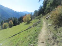 Gommer Höhenweg