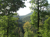 Hinterweidenthaler Teufelstisch-Tour