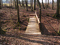 Hirn-Gallenberg-Tour