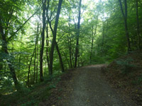 HöhenLuft