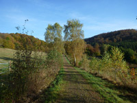 Hubertusrunde