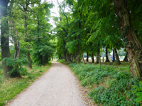 Huilbeek & Maas
