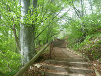 Klippeneck-Steig