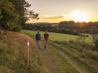 Langscheider Wacholderblick