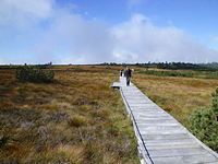 Mummelsee-Hornisgrindepfad