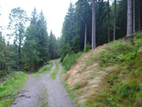 Oberhundemer Bergtour