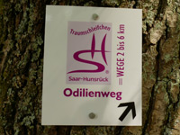 Markierung Odilienweg
