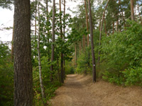 Odilienweg