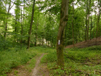 Odilienweg