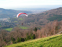 Panoramaweg Baden-Baden