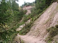 Peterstaler Schwarzwaldsteig