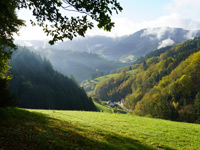 Peterstaler Schwarzwaldsteig