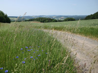 Potzberg Wanderweg