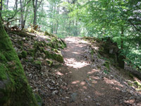 Potzberg Wanderweg