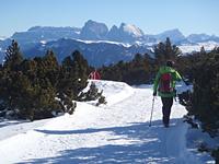 Premium-Panorama-Tour Ritten