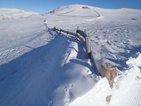 Premium-Panorama-Tour Ritten