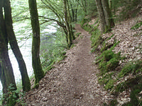 Prümtalweg