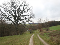 Raboldshäuser Ritterweg