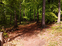 Römer-Keltenpfad